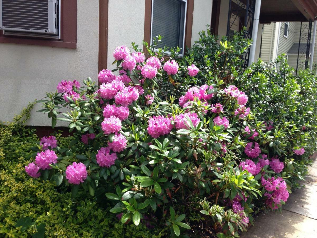 סאמרוויל Bowers House Bnb Harvard Mit Cambridge Boston מראה חיצוני תמונה